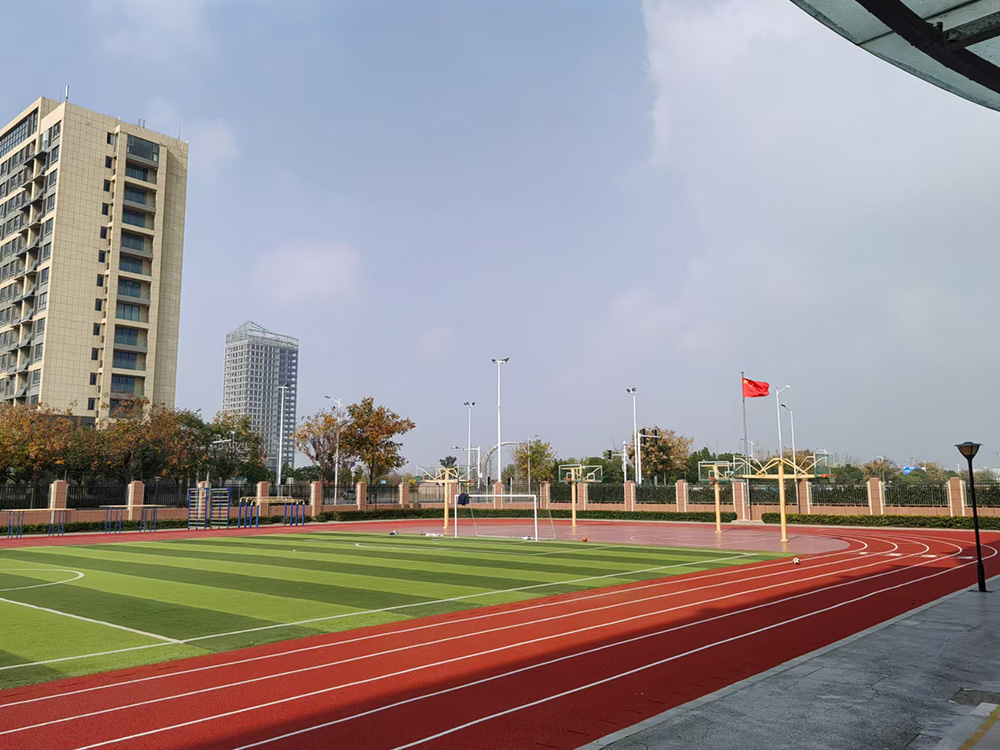 555.jpg